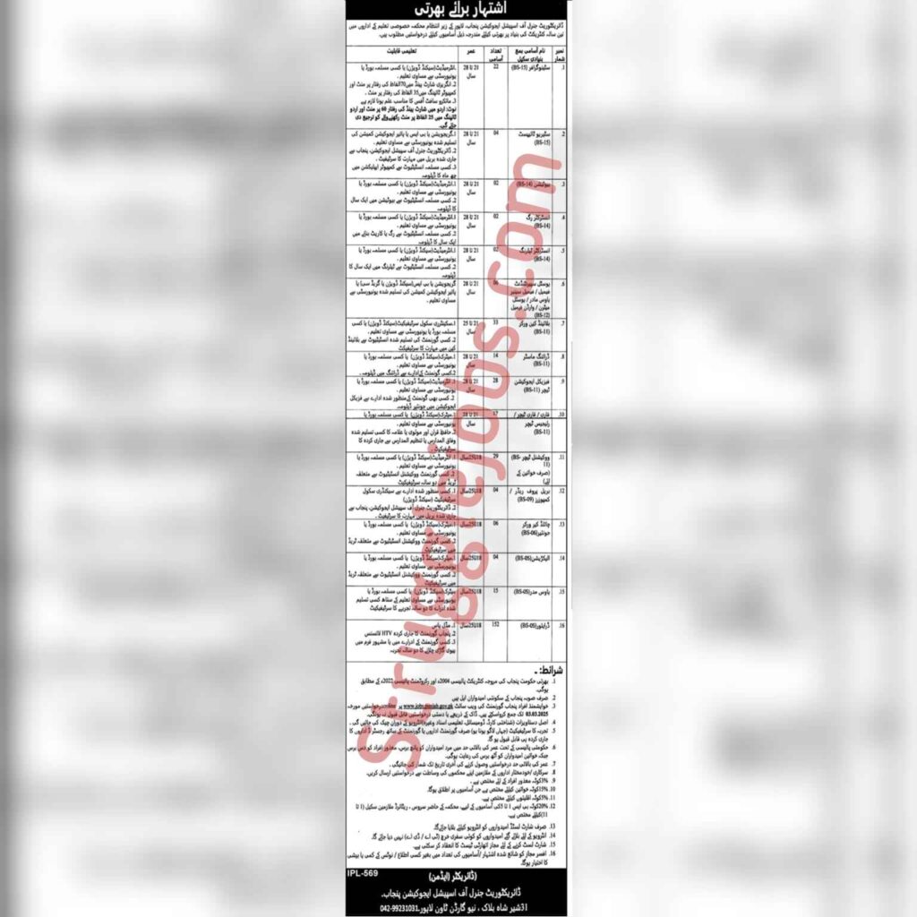 Job Opportunities in the Directorate General of Special Education, Punjab