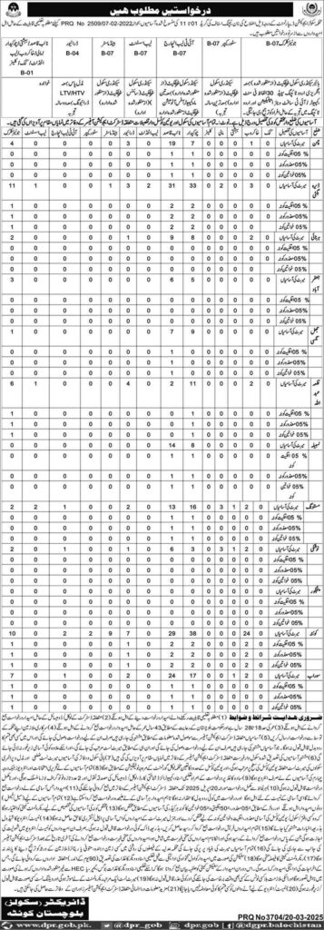 Jobs Opportunities in Director Schools, Balochistan (Quetta), 2025
