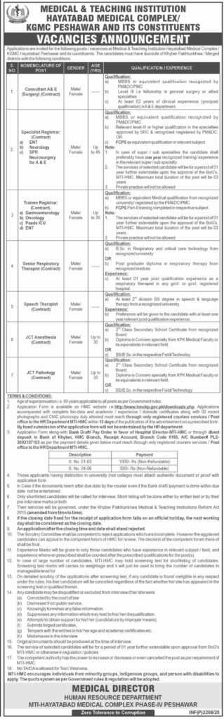 Medical & Teaching Institution Jobs in Hayatabad 2025 – Latest Vacancies Announced