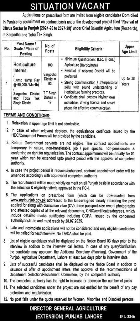 Revival of Citrus Sector Jobs in Punjab Pakistan