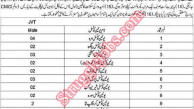 Government of Balochistan Teaching Jobs in District Mastung