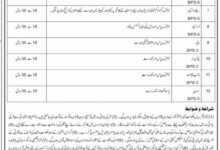 Computer Operator Jobs at BISE Malakand – Apply Now