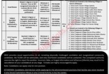 SRSO Jobs at Sukkur online Apply