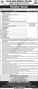 Jobs in Gajju Khan Medical College Swabi Apply Now at MTI