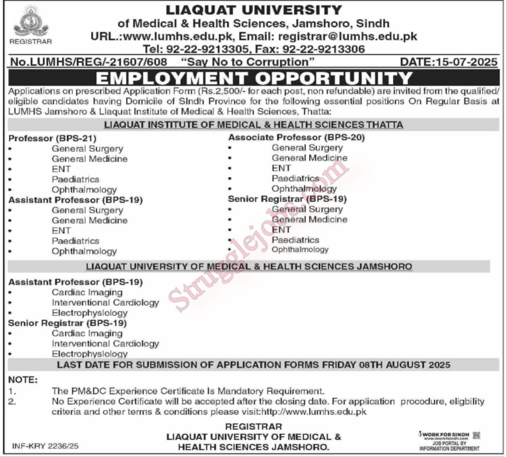 LUMHS Jamshoro Jobs in Sindh