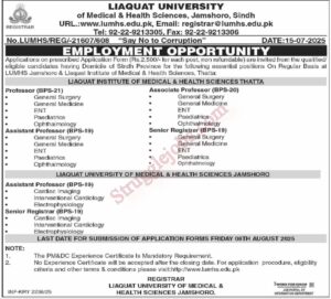 LUMHS Jamshoro Jobs in Sindh