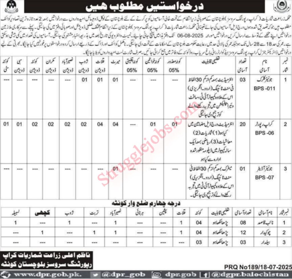 Department of Agricultural Statistics Jobs in Balochistan Apply Now