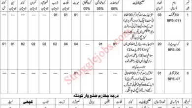 Department of Agricultural Statistics Jobs in Balochistan Apply Now