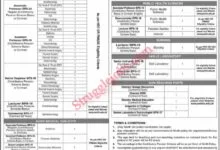 PUMHSW Announces Multiple Jobs Faculty and Medical Vacancies for Sindh