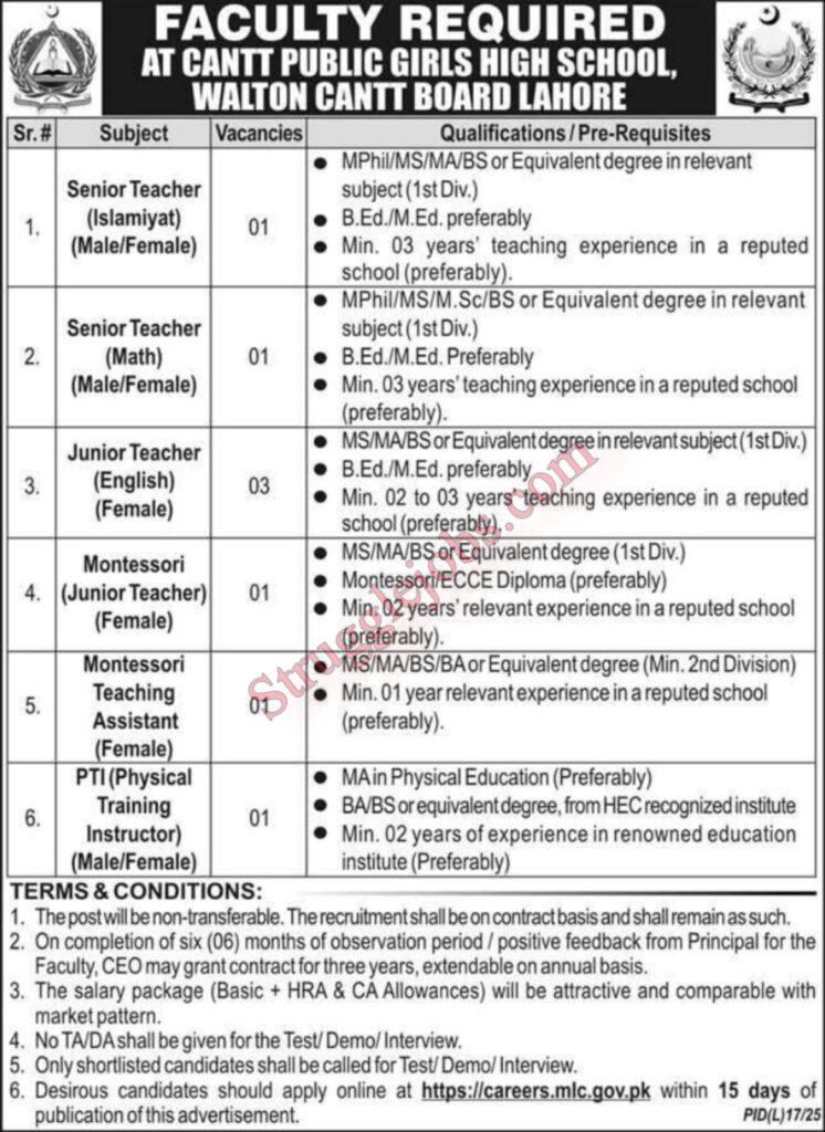 Jobs at Cantt Public Girls High School, Walton Cantt Board Lahore