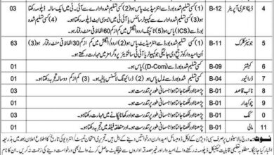 Commissioner Office Sibi Division Jobs 2025 Apply Now