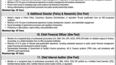 Punjab Board of Investment & Trade PBIT exciting Jobs 2025 in Lahore