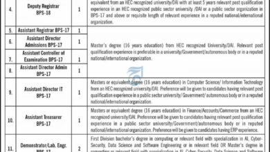 Associate Professor jobs in UEAS Sawat