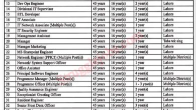 Jobs in PITB in Lahore 2025 August