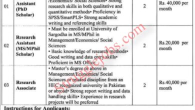 University of Sargodha hec nrpu Project Jobs 2025