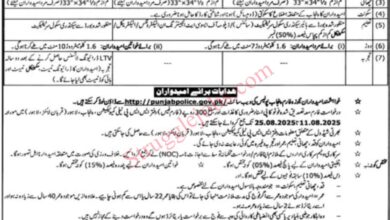 Punjab Police Jobs 2025 Apply for Constables