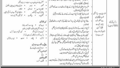 NADRA Technologies Limited NTL Jobs 2025 51 Business Executive Vacancies