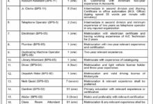 Sindh Judicial Academy Jobs 2025 Multiple Permanent Posts