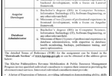 Finance Department KPK Jobs 2025 IT Consultants Required for World Bank