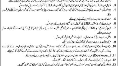 Kailash Valleys Development Authority KVDA Chitral Jobs 2025