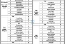 Health Department KPK DHQ Hospital Specialists Jobs 2025