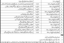 Sindh Judicial Academy SJA Jobs 2025 Online Application Form