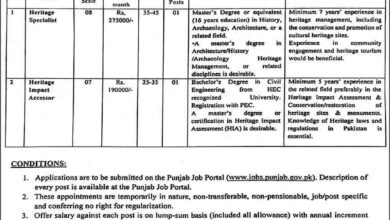 Directorate General of Archaeology Punjab Jobs 2025 Apply Online