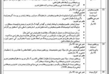 Sindh Human Capital Investment Programme Jobs 2025
