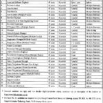 PITB Jobs Opportunity 2025 Apply Online at jobs.punjab.gov.pk