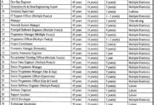 PITB Jobs Opportunity 2025 Apply Online at jobs.punjab.gov.pk