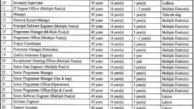 PITB Jobs Opportunity 2025 Apply Online at jobs.punjab.gov.pk