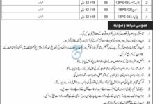 Deputy Commissioner Office Jobs in Tank 2025