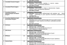 OEC Saudi Arabia Medical Jobs 2025